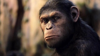 All 9 <i>Planet of the Apes</i> Movies, Ranked